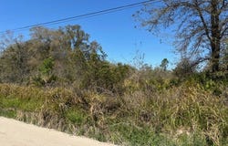 5499 E Stokes Ferry Road, Hernando, FL 34442