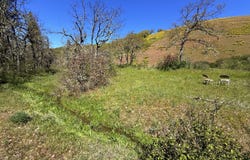 Kestrel Rd, Lyle, WA 98635