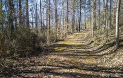 99999 Monticello Road, Weaverville, NC 28787