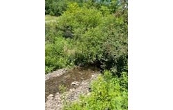 39 Sherman Hill Road, Sidney, NY 13839