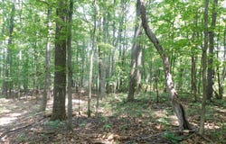 0 LARKIN RIDGE ROAD, FRONT ROYAL, VA 22630