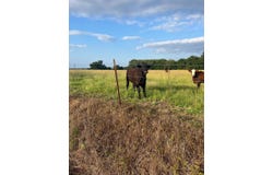 Tract 25 Waymire Road, Howe, OK 74940