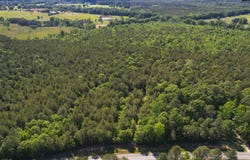 4034 Pencreek Road, Johnston, SC 29832
