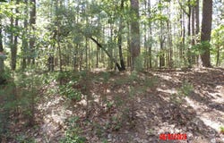 4 VUELTA LANE, Hot Springs Village, AR 71909
