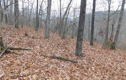 NC 8389, Jasper, AR 72641
