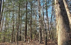 5.3 AC Lees Neck Farm Road, Gloucester, VA 23149