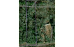 TBD County Road 2650, Shelbyville, TX 75973