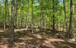 WOODMONT ROAD, GREAT CACAPON, WV 25422