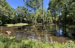 County Road 3102, West, MS 39192