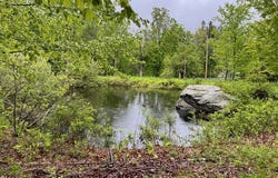 818 South Mountain Road, Conesville, NY 12076