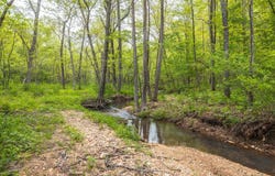 20623 W Ashley Creek Rd, Raymondville, MO 65555