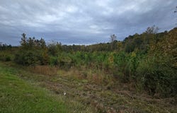 E Highway 378, McCormick, SC 29835