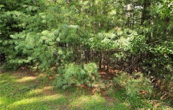 Holly Run, Glade Valley, NC 28627