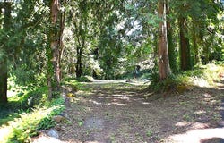 87835 UPLAND ST, Springfield, OR 97478