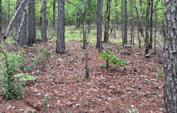001 Bolen Hollow W, Pittsburg, OK 74560