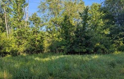 N/A Crawford Road, Omer, MI 48749