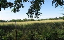 TBD - 8.5 acres Bethel Rd Bethel  RD, Gravette, AR 72736