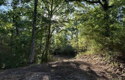226 Ferrell Road, Ashland, MS 38603