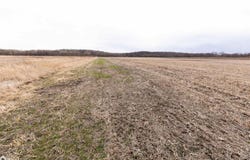 Tbd Dogwood Avenue, Brighton, IA 52540