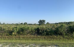 19142 NW 264th Street, Okeechobee, FL 34972
