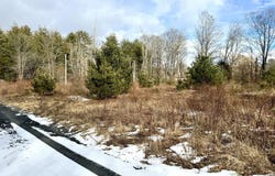 547 Glenford-Wittenberg Road, Bearsville, NY 12409