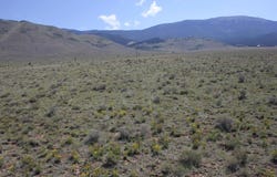 Highway 38 lot: 64, Eagle Nest, NM 87718-0000