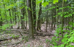 White Road, Parish, NY 13131