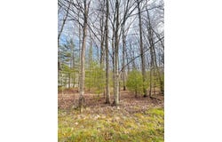 202 GLEN GARDEN LN, DANIELS, WV 25832