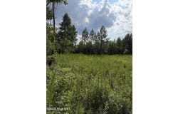 3 Beamon Hunt Road, Warrenton, NC 27589