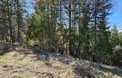 2725 Meadow View Lane, Spring Garden, CA 95971