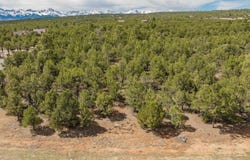 Lot 6 Waterview Court, Ridgway, CO 81432