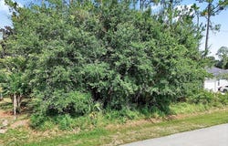 30 WELLWOOD Lane, PALM COAST, FL 32164