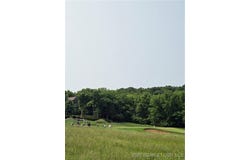 Plat 10 Lot 62 Bear Cave Way, Camdenton, MO 65020