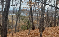 220th Street, Clitherall, MN 56524