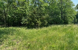 0 LIV 403, Mooresville, MO 64664