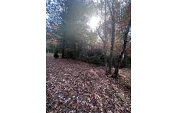 Tbd Whipporwhill Road, Wytheville, VA 24382