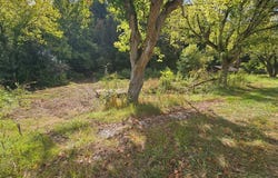 7841 Hwy 1690, Louisa, KY 41230