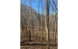 Buckeye Creek Road, Sutton, WV 26601