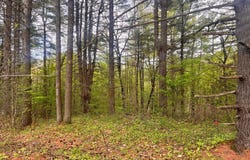 0 LaFlure Lane, Keeseville, NY 12944