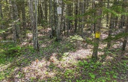 Lot 6b Asa's Lane, Lamoine, ME 04605