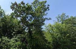 0 Broadway, Haverhill, MA 01830