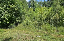 121 Williams Road, Royal, AR 71968