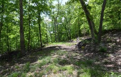 1730 Chimney Top Farms Rd Road, Eureka, MO 63038
