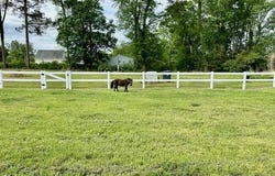 4998 Peacock Road, Whiteville, NC 28472