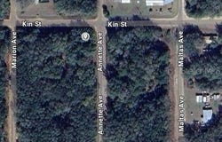 ANNETTE AVENUE, INTERLACHEN, FL 32148