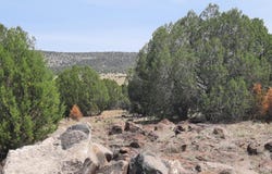 Lot 884 Terra Ranch Rd, Seligman, AZ 86337