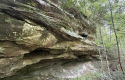 342 Dewey Banks Road, Campton, KY 41301