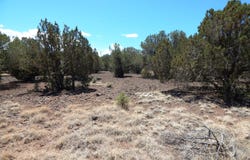 8337 Navajo Drive, Show Low, AZ 85901