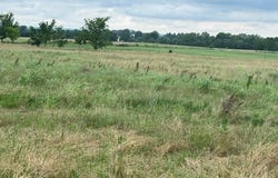 5.66 AC E Pridemore Drive lot: 0, Lincoln, AR 72744