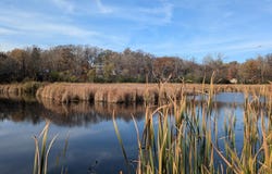 3495 Eastshore Drive, Minnetrista, MN 55364